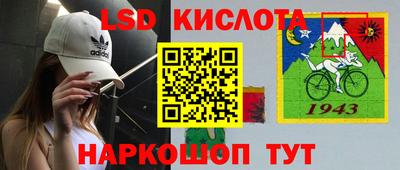 Альфа ПВП Камышлов