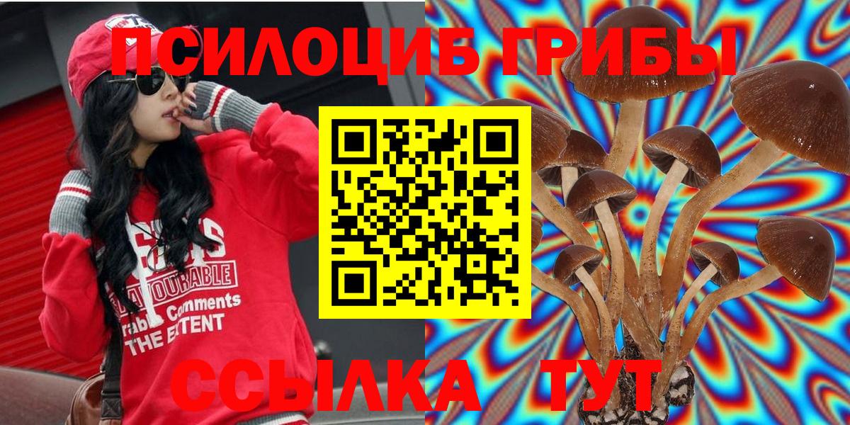 Галлюциногенные грибы MAGIC MUSHROOMS Курчалой