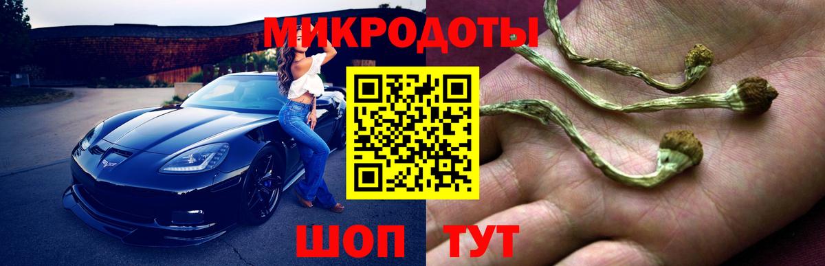 Псилоцибиновые грибы прущие грибы  Вход с VPN  Курчалой 